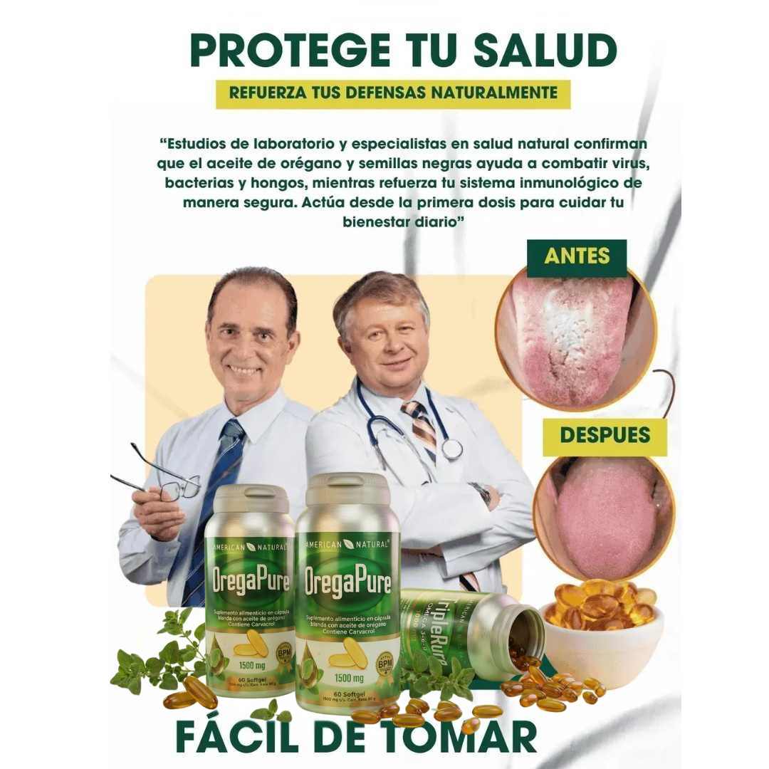 Encabezado