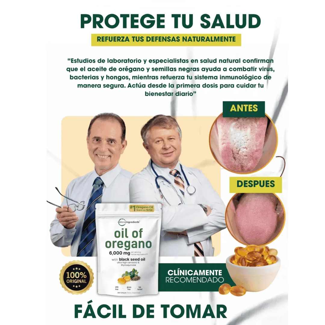 Encabezado
