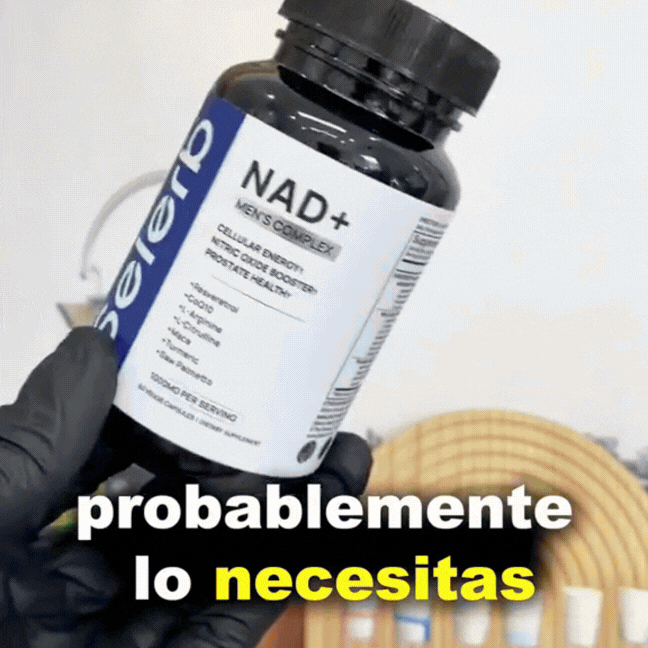 Encabezado