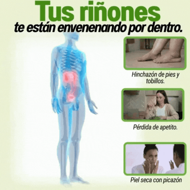 Encabezado